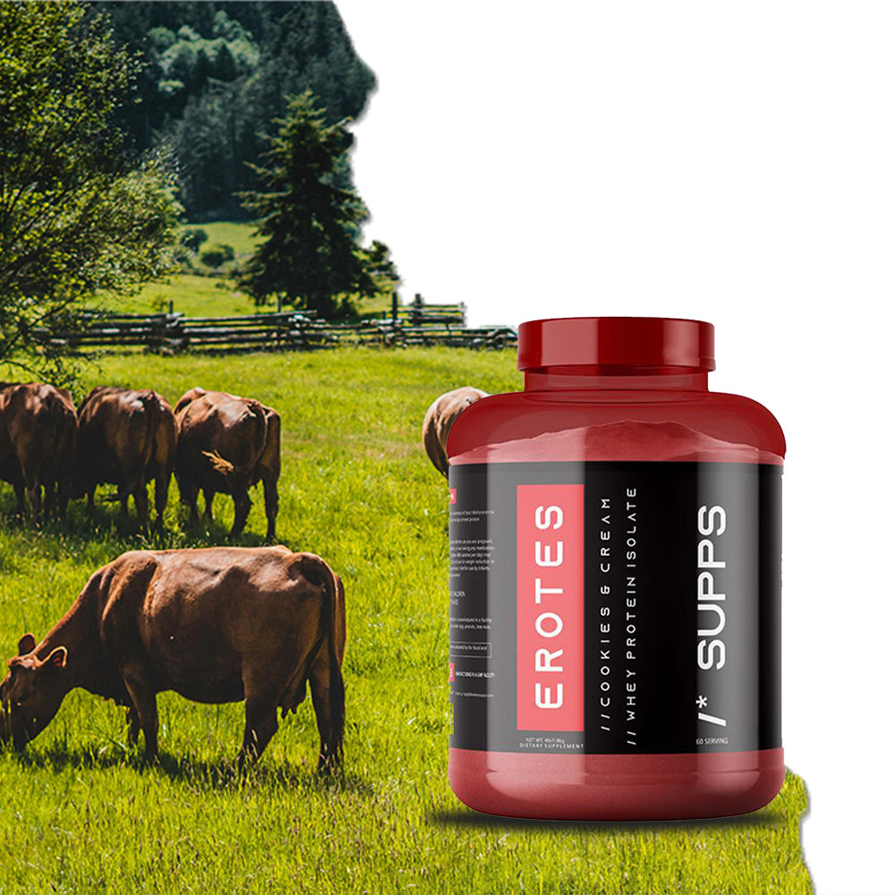 Premium Grass-Fed Cows - Sourcing Best Whey Protein Isolate for SUPPS